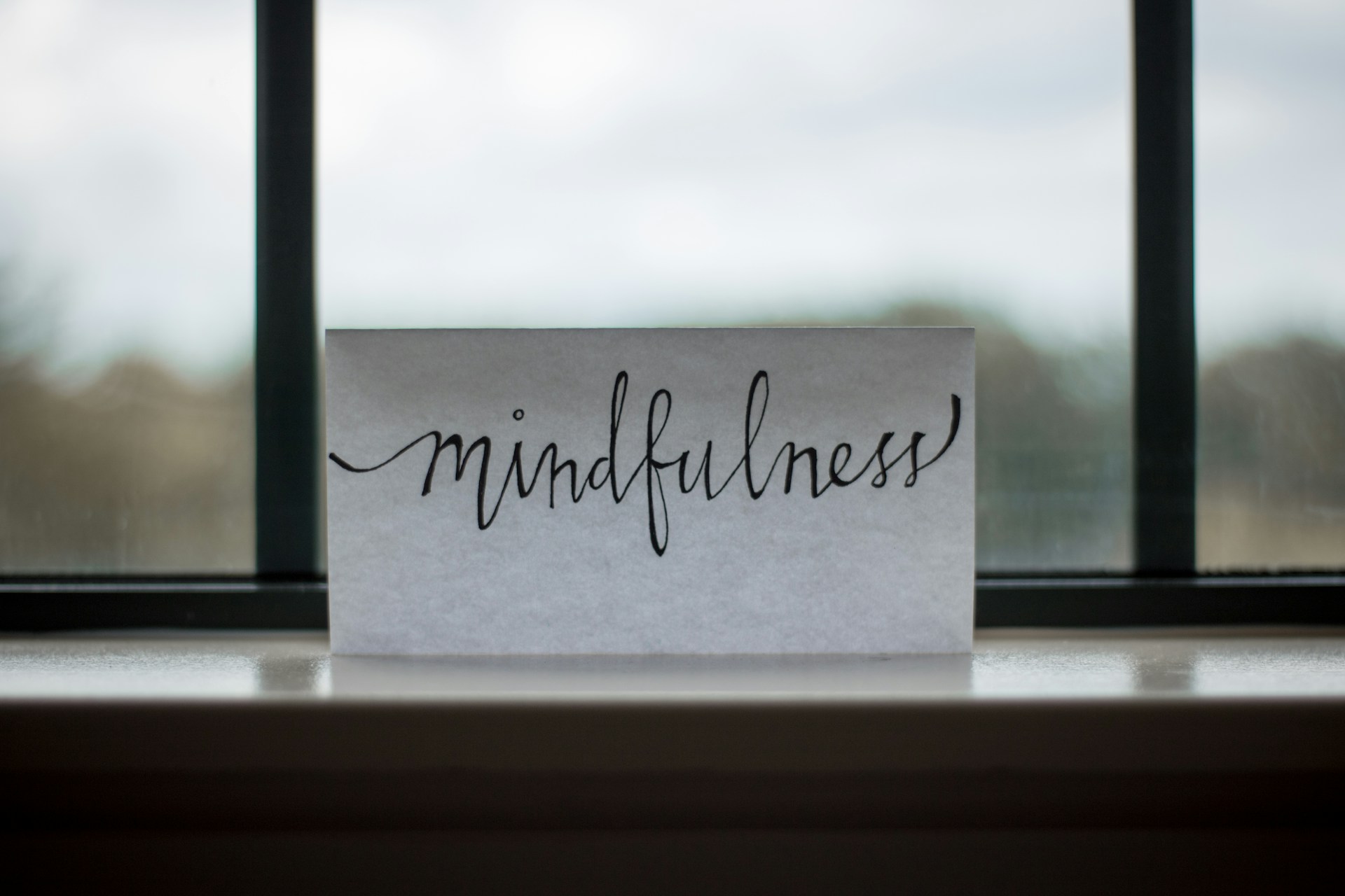 Mindfulness priroda
